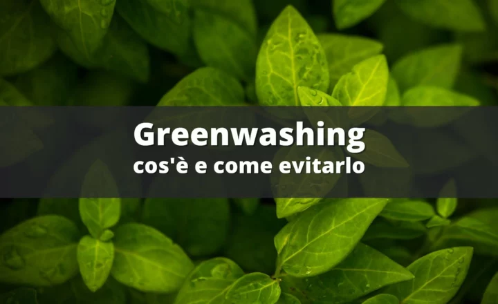 green washing significato