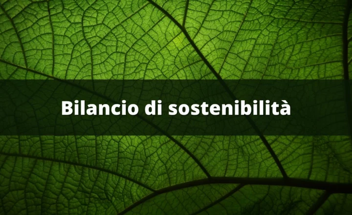 Cos'è il bilancio di sostenibilità? importanza e quando è obbligatorio