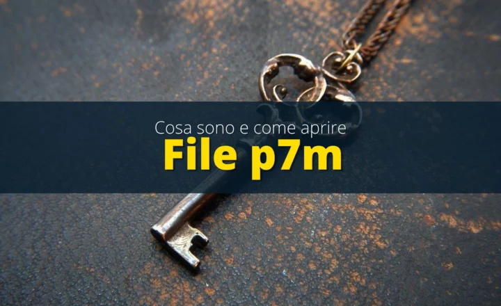 file p7m